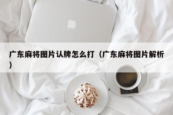 广东麻将图片认牌怎么打(广东麻将图片解析)