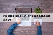 广东麻将无道具怎么打（广东麻将没花的应该调多少）