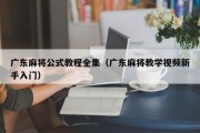 广东麻将公式教程全集（广东麻将教学视频新手入门）
