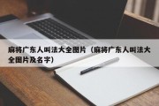 麻将广东人叫法大全图片（麻将广东人叫法大全图片及名字）